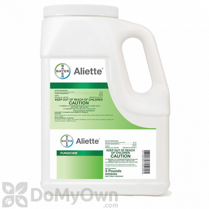 This image has an empty alt attribute; its file name is 2725-Aliette.jpg.thumb_678x678.jpg